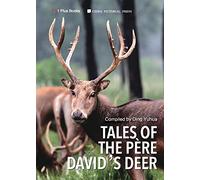 Tales of the Père David’s Deer: 1 (China Rare Animals & Ecological Protection)