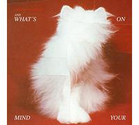 Talking to Turtles - And What'S on Your Mind [Vinilo]