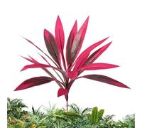 Tall Fake Plant - 21 Inch Tropical Stem Outdoor Decor, Dragon Blood Tree Faux Foliage, UV Coated Lifelike Trunk, Weather Resistant Woven Pot | Perfect for Home Living Room Office Patio Porch Garden