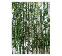 Tallo de bambú Muy Realista Muebles de Interior Oficina Decorar Plantas Verdes Cubierta de privacidad al Aire Libre Rama de bambú Bambú Artificial Planta Artificial(40 Pack,H 2m/78.7 in)