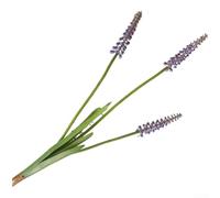 Tallo de flor de jacinto artificial para bodas y uso al aire libre con detalles realistas y tacto suave, adecuado para fotografía y exhibiciones en el hogar (morado)