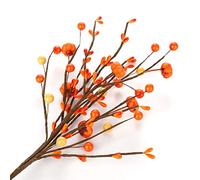 Tallos de Bayas Artificiales de Otoño Ramas de Bayas Y Calabazas, Ramita de Calabaza de Bayas Decoración de Acción de Gracias Tallos de Bayas Artificiales de Otoño Selecciones de Bayas Ramas(#1)