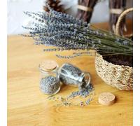 Tallos de Lavanda Secos - Ramo botánico fragante de Calidad, exhibición de decoración de Flores de Estilo Vintage, arreglo de Plantas aromáticas Naturales, Juego de rústicos de Larga d