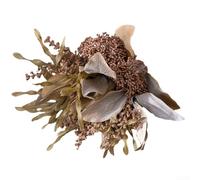 Tallos florales artificiales de algas marinas de Okra para decoración sofisticada de interiores, biblioteca, sala de estudio, jarrón, boda, recepción, estilo (marrón)