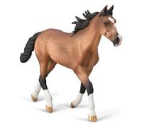 Talón Standardbred - (XL)