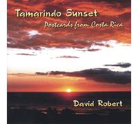 Tamarindo Sunset (Postcards from Costa Rica)