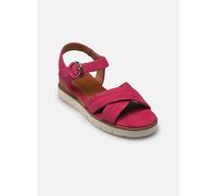 Tamaris 28202-42 37 Rosa