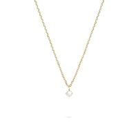 Tamaris Necklace - Collar con colgante brillante de acero inoxidable - IP Gold - Cadena de ancla ajustable hasta 43 cm - resistente al agua y respetuosa con la piel