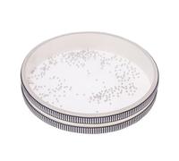 Tambor OceáNico Tambor de cuentas ola mar for niños, tambor mano con efecto sonido del océano, percusión Aprendizaje Temprano, 15/20/25cm(15cm)