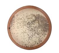 Tambor OceáNico Tambor de ondas, terapia sonido la naturaleza, yoga, meditación, sonidos, tambores, instrumento musical(22 inches.)