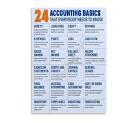 TAMDDBPJD Accounting 101 Cheat Sheet Essential Principles Guide Educational Wall-Art for Home Office Decor(Unframed,16x24inch(40x60cm))