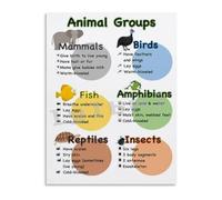 TAMDDBPJD Animal Group Terminology Collective Nouns Poster Canvas Wall-Art for Living Room Bedroom Classroom(Unframed,16x24inch(40x60cm))