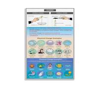 TAMDDBPJD Chemistry Basics Wall-Art, Physical Change Chemical Change Comparison Chart, Modern Canvas for Study Room (Unframed,16x24inch(40x60cm))