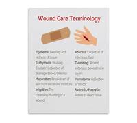 TAMDDBPJD Clinical Wound Terminology Poster Canvas Wall-Art Drainage Types Chart Nursing Education Study Reference(Unframed,12x18inch(30x45cm))