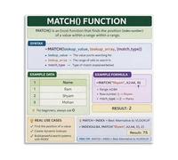 TAMDDBPJD Excel Reference Guide MATCH Function Formula Canvas Wall-Art for Data Analysis Home Office and Computer Decor(Framed,12x18inch(30x45cm))