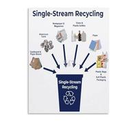 TAMDDBPJD For Schools and Offices Recycling Sorting Guide Educational Poster Canvas Wall-Art Modern Decor(Unframed,12x18inch(30x45cm))