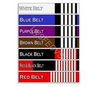 TAMDDBPJD From White to Black Belt BJJ Rank Guide Educational Poster Canvas for Martial Arts Fans Home(Framed,08x12inch(20x30cm))