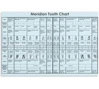 TAMDDBPJD Health Meridian Tooth Chart Educational Poster Wall Decoration Canvas Art for Hospital and Clinic Environments(Framed,16x24inch(40x60cm))