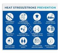 TAMDDBPJD Heat Stress Management and Heat Stroke Prevention Poster Infographic 12 Tips for Workplace Educational Decor(Unframed,08x12inch(20x30cm))
