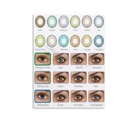 TAMDDBPJD Makeup and Beauty Color Lens Guide Chart Canvas Print Wall-Art for Vanity Room Decor(Framed,12x18inch(30x45cm))