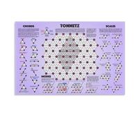 TAMDDBPJD Music Theory Tonnetz Chart - Visual Guide to Chord Progressions, Neo-Riemannian Theory and Harmonic Space for Students & Composers(Framed,16x24inch(40x60cm))