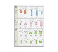 TAMDDBPJD Science Classroom Decor Genetic Code Poster Amino Codon Chart Educational Wall-Art for Biology(Framed,08x12inch(20x30cm))
