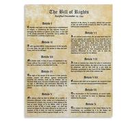 TAMDDBPJD Social Studies Poster Constitution Bill of Rights for School Classroom Wall Decor(Unframed,16x24inch(40x60cm))