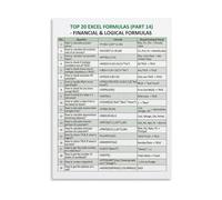 TAMDDBPJD Spreadsheet Formulas Poster Excel Financial Logical Functions Educational Canvas Wall-Art for Home Office Workspace and Study Decor(Framed,16x24inch(40x60cm))