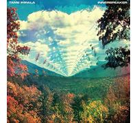 Tame Impala - InnerSpeaker
