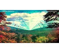 Tame Impala Innerspeaker (Vinyl) 12" Album