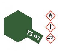 TAMIYA Pintura En Spray Para Modelos De Plástico TS-91 JGSDF Verde Oscuro 100ml