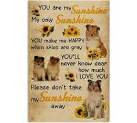 TammieLove Cartel de metal con texto en inglés "Don't Take My Sunshine Away Shetland Sheepdog para amantes de los perros, decoración de pared de garaje, letrero de metal de 8 x 12 pulgadas