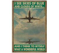 TammieLove Cartel retro de metal con texto en inglés "Pilot I See Skies Of Blue I Think To Myself What A Wonderful World", 20,3 x 30,5 cm, TinSignEUa45140
