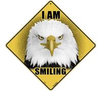 TammieLove Letrero de metal con texto en inglés "I Am Smiling Eagle Crossing Sign" (12 x 12 pulgadas)