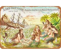 TammieLove TinSignEUa13075 - Letrero de metal retro para decoración del hogar de Ayer's Hair Vigor, 20,3 x 30,5 cm, 1886