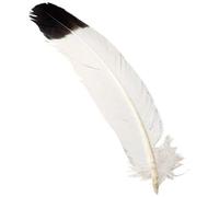 Tandy Leather Factory Encantos de plumas, 1.5625 pulgadas, 2 por paquete
