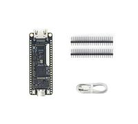 Tang 9K FPGA Placa de Desarrollo GOWIN GW1NR-9 RISC-V HDM Kit