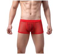 Tanga de malla para hombre ropa interior sexy para hombres cómodas tangas masculinas transpirables de microfibra calzoncillos eróticos alta libertad de movimiento para el día a día 2025, rojo, S