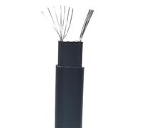 Tangerniu Cable calefactor autorregulable de 10 metros, 12mm de ancho, descongelación de techo, protección contra congelación for tuberías de agua, tambores de aceite Anticongelante(220V)