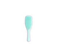 Tangle Teezer Wet Detangler cepillo pelo mojado y seco, morado - Peine antitirones y roturas - para todo tipo de pelo