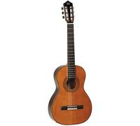 Tanglewood Dominar EM-D4 Parlour - Top clásico de cedro sólido con bolsa de concierto