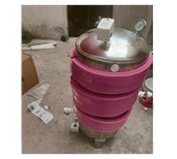 Tangues de presi'n de agua Tanque de presión de agua de pozo, 300L, 250L, 200L, 160L, 100L, 60L. Tanques de almacenamiento de agua presurizada.(B,(250L/66Gal)19.7x53.1"/50x135cm)