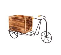 Tangxi Macetero para Bicicleta Vintage, Soporte Multifuncional para Triciclo de Hierro para Oficina o Patio, Florero Decorativo con Tamaño Compacto 11.02x6.29x3.93 Pulgadas (AT04)