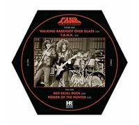 Tank - Power Of The Hunter (Picture shape)-Tank