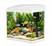 Tanque de acuario de vidrio mediano de 34 litros con filtro y luz, kit todo en uno de vidrio de escritorio con bomba para peces dorados, betta, camarones, blanco (XS-400)