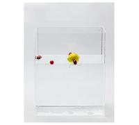 Tanque de Agua acrílico Cuadrado de Alta Transparencia, Accesorio de fotografía for Tanques de Aguas Poco Profundas, Caja de exhibición Multifuncional de 5 mm de Grosor.(30x30x20cm/11.8x11.8x7.8in)