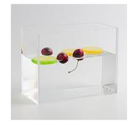 Tanque de Agua acrílico for Disparos en Aguas Poco Profundas, Caja Transparente, Utilizado for Disparar, almacenar artículos, Caja de Almacenamiento de exhibición(60x60x10CM/23.6x23.6x3.9in)