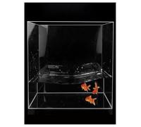 Tanque de agua acrílico poco profundo for fotografía, fregadero de acrílico for fotos, bandeja flotante for accesorios de fotografía, caja de almacenamiento transparente, organizador de mesa for estud