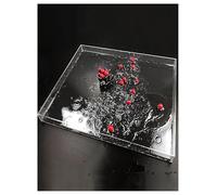 Tanque de agua acrílico transparente for fotografía, fregadero poco profundo, accesorios for fotos, bandeja for salpicaduras de agua, caja de almacenamiento multifunción, tanque de agua.(80x60x5cm/31.