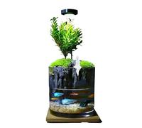 Tanque de peces de acuario con función de cascada, fuente de escritorio de tanque de vidrio con plantas vivas y decoración de paisaje zen (A)